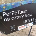  UM Elbląg