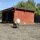 zdjęcie nr 27