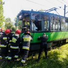 zdjęcie nr 9