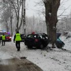 zdjęcie nr 14