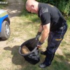 Strażnicy miejscy pomogli młodemu dzikowi Straż Miejska w Elblągu