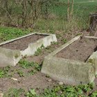 zdjęcie nr 31
