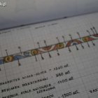 Projekty letnich obsad w Elblągu Aleksandra Szymańska