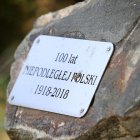 zdjęcie nr 33
