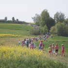 zdjęcie nr 11