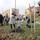 zdjęcie nr 41