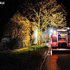 Fotka nr 3 z 12