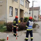 zdjęcie nr 7