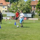 zdjęcie nr 32