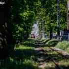 zdjęcie nr 24