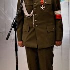  43 blp