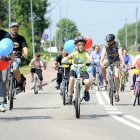 zdjęcie nr 160