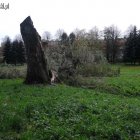 zdjęcie nr 17