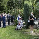 zdjęcie nr 10