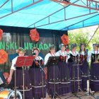 zdjęcie nr 13