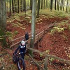  MOSiR Elbląg