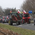 zdjęcie nr 13