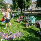 zdjęcie nr 22
