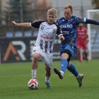 zdjęcie nr 85