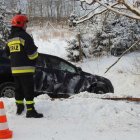 zdjęcie nr 14
