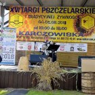 zdjęcie nr 28