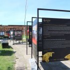 zdjęcie nr 10
