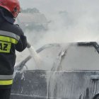 zdjęcie nr 14