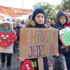 zdjęcie nr 24