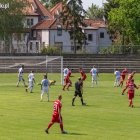 zdjęcie nr 22