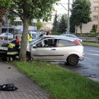 zdjęcie nr 14