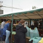 zdjęcie nr 43