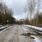 zdjęcie nr 21