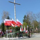 zdjęcie nr 16