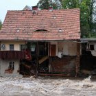 zdjęcie nr 19