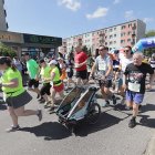 zdjęcie nr 222