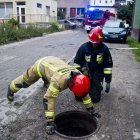 zdjęcie nr 8