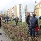 zdjęcie nr 44