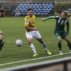 zdjęcie nr 12