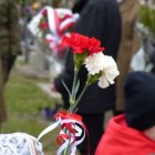 zdjęcie nr 37