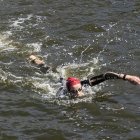 zdjęcie nr 201