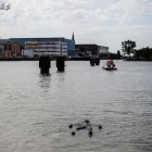 zdjęcie nr 22