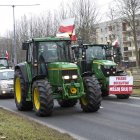 zdjęcie nr 43