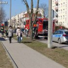 zdjęcie nr 9