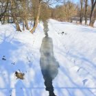 zdjęcie nr 13