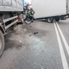 zdjęcie nr 16