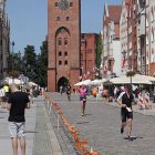 zdjęcie nr 249