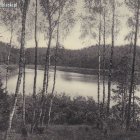 zdjęcie nr 36