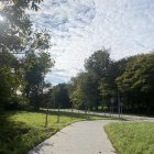 zdjęcie nr 7