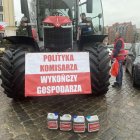 zdjęcie nr 16