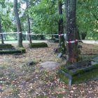 zdjęcie nr 13